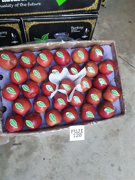 Fresh Apples Fujİ Product Info Tragate