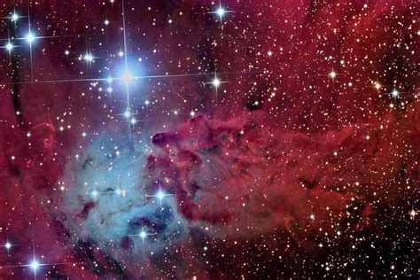 Fox Fur Nebula Photograph By Russell Cromanscience Photo Library Pixels