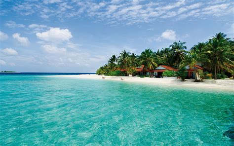 Maldives Island Sea Palm Trees Beach Landscape Ocean Beaches
