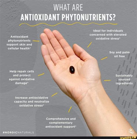 what are antioxidant phytonutrients what are antioxidant phytonutrients antioxidant ~a
