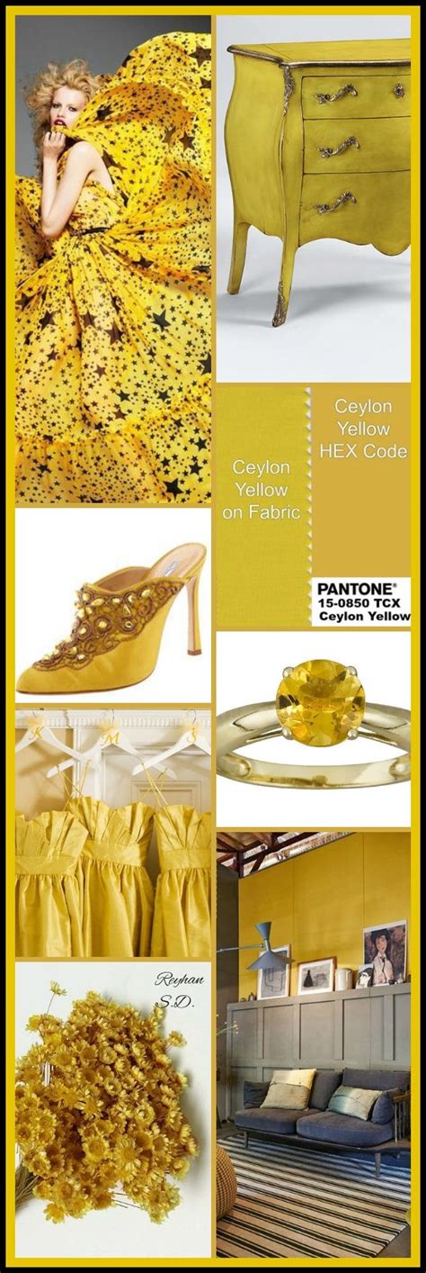 Ceylon Yellow Pantone Fall Winter 2018 2019 Colors Trends By