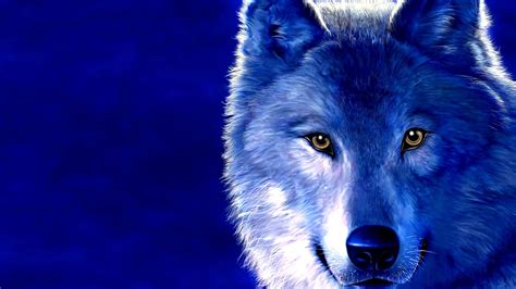 Blue Wolf Wallpaper Hd Wallpapers Trend