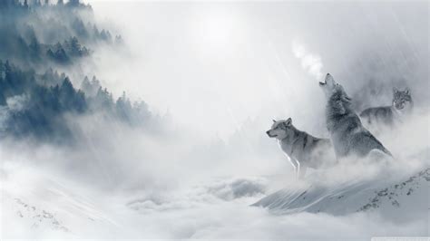 Howling Wolf Wallpapers Hd Wallpaper Cave