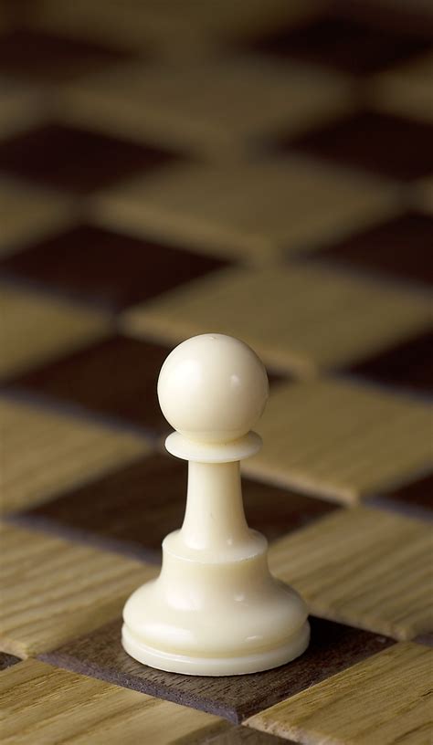 Pawn Chess Wikipedia