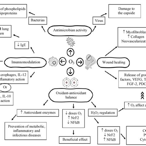 The Main Mechanism Behind Ozone Treatment Ozone Therapy Is Considered