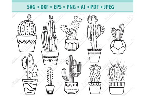 Cactus SVG Bundle Succulents SVG Cactus Pots Png Dxf Eps 986927