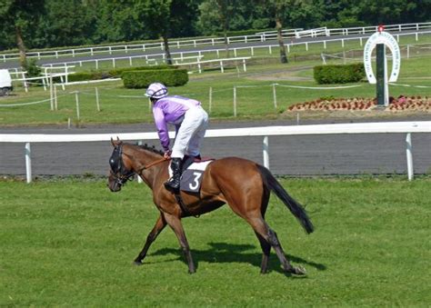 Free Images Rider Pasture Thoroughbred Horses Mare Jockey Race