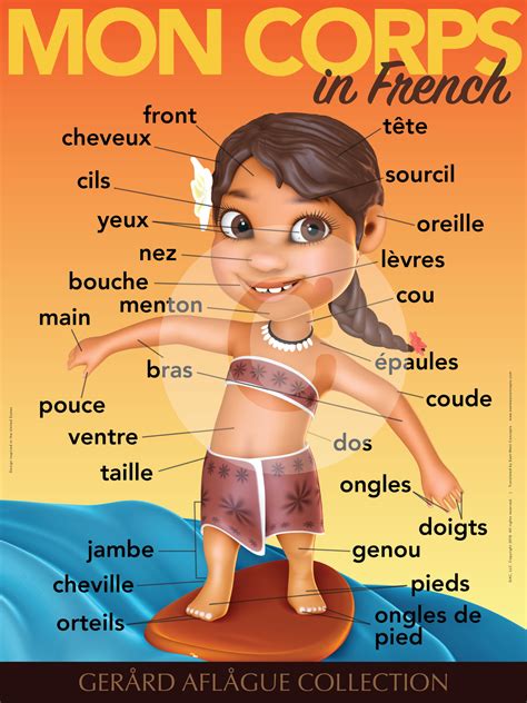 My Body Parts In French Mon Corps Poster Girl 18x24 Inches