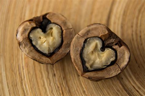 Heart Shaped Nut Shell Stock Photo Image Of Peel Fathers 35553140