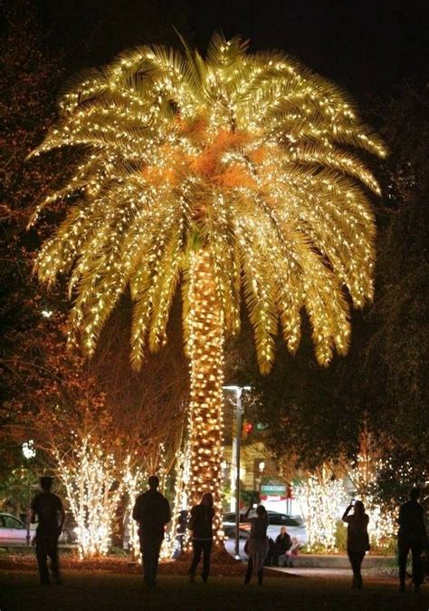 Pin By S Ferrer On Holiday Decor Palm Tree Christmas Lights Hawaii