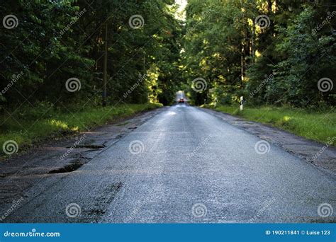 Asphalt Road After The Rain In The Evening Stock Image Image Of Trees