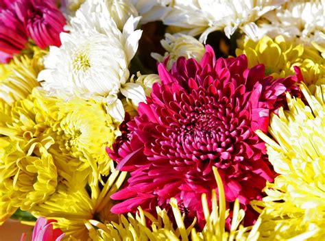 Chrysanthemum Wedding Flower Arrangement