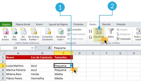 Microsoft Excel Classificar os datos usando critérios personalizados