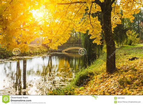 Beautiful Autumn Landscape With River Bridge And Trees Stock Photo