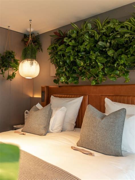 Biophilic Design Hotel Room By Benholm Group Living Room Plants