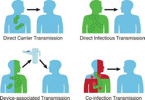 Streptococcus Pneumoniae Outbreaks And Implications For Transmission