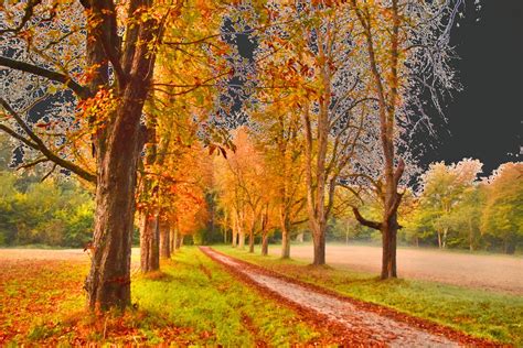 5 / 5 64 мнений. September Foto & Bild | jahreszeiten, herbst, makros ...