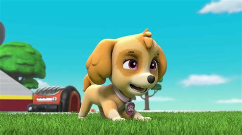 Watch Paw Patrol Season 5 Episode 4 Ultimate Rescue Pups Save The