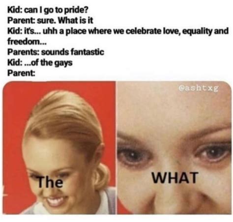 Dumb Gay Pride Memes Coachingamela