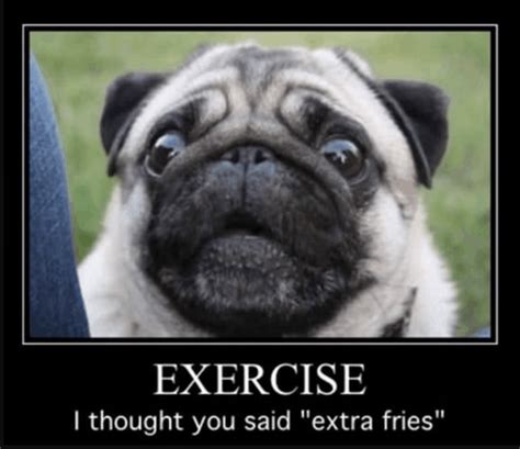 48 Funny Pug Jokes The Internets Best Pug Puns The Smart Canine