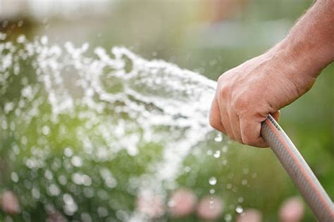 Simple Ways To Save Water In The Garden Ace Plumbing Heating And Air