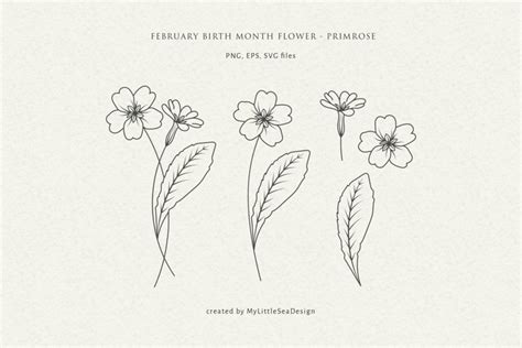 February Birth Month Flower Primrose Flower Svg