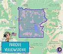Cómo Llegar y Visitar el Parque Yellowstone - Colombian Abroad