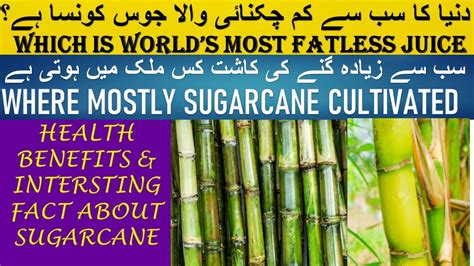 How To Peel Off Sugarcane Most Fatless Juice Benefits And