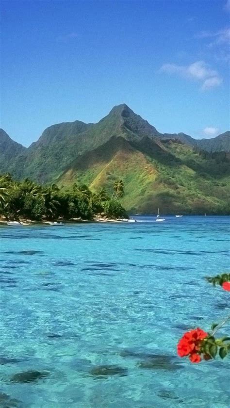 130 Best Tahiti French Polynesia Images On Pinterest