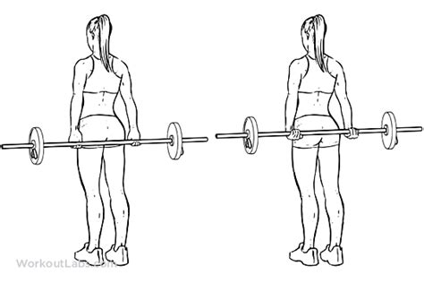 Behind The Back Standing Bicep Curls Exercise Guide Workoutlabs