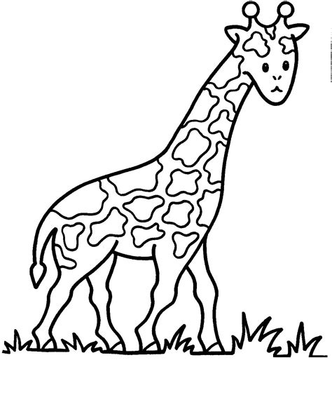 Una Giraffa Da Stampare E Da Colorare Per Bambini E Bambine Disegni