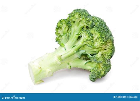 Broccoli Stock Image Image Of Food Background Stalk 14242445