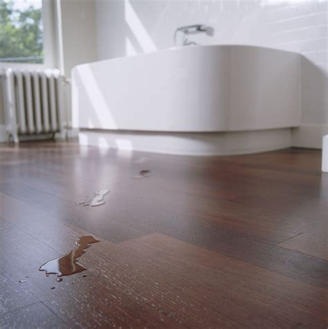 Wood Floor Bathroom Pictures Flooring Tips