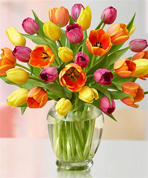 Tulip Flower Arrangement Ideas Flowers