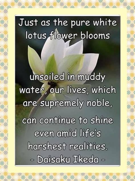 We did not find results for: Lotus flower | Lotus flower quote, Buddhism beliefs, Ikeda quotes