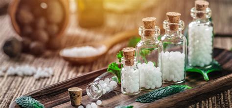 Explorando La Homeopatía ¿qué Es Y Cómo Funciona Biohomed