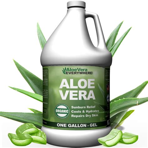 Wo findet aloe vera anwendung? Aloe Vera Gel - 1 Gallon - Pure Aloe Leaf Gel Hydrating ...