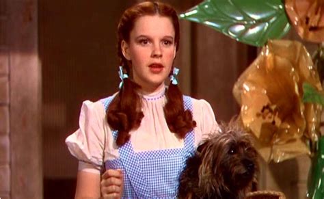 Dorothy Costume Diy Guides For Cosplay Halloween