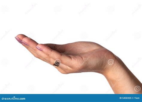 Womens Palm Stock Image Image Of Body Fingers Helping 5450355