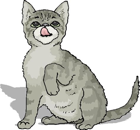 Funny Cat Clipart Clipground