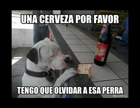 Imagenes Chidas De Cholos Con Frases Memes De Cerveza Imagenes Chistosas Yura Erti