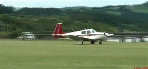 Landing  Find And Share On Giphy
