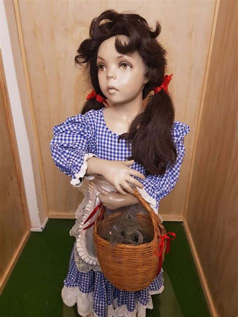 Here you'll also find all the wizard of oz costume accessories to complete your character: dorothy - wizard of oz kids - Book week costume #2 - Snog The Frog