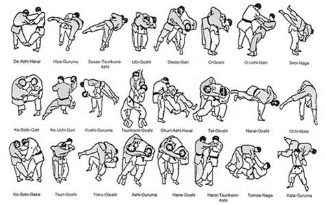 Judo Throws Karate Martial Arts Judo Martial Arts Workout