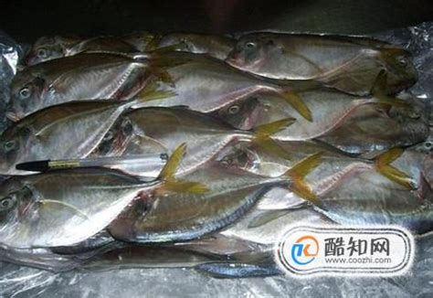 First recorded in a poem by li yi (tang dynasty). 月亮鱼是什么鱼？月亮鱼怎么吃？_酷知经验网