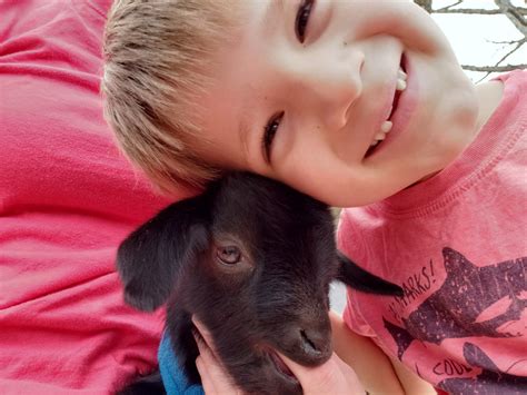 Baby Goat Love Winterpast Farm