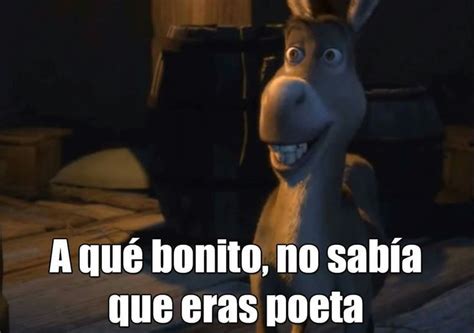 An Animated Donkey With The Caption A Que Bonito No Sabia Que Eras Poeta