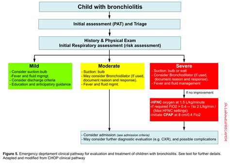 Bronchiolitis Update On Diagnosis And Management Of Viral