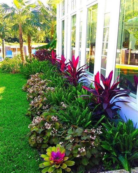 55 Beautiful Tropical Plants For Backyard Landscape Ideas To Make Your