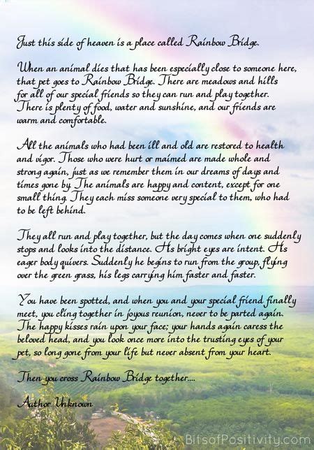 Upon death, any animal who was special to a human goes to a meadow near heaven where they play together. 'Rainbow Bridge' Free Printable Poem {Pet Loss} | Rainbow bridge, Pet quotes dog, Rainbow bridge dog